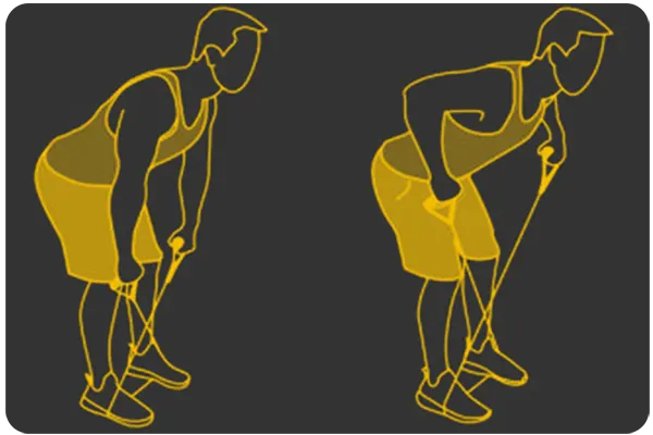 BENT OVER ROW
