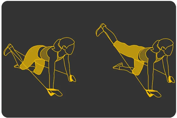 DONKEY KICK